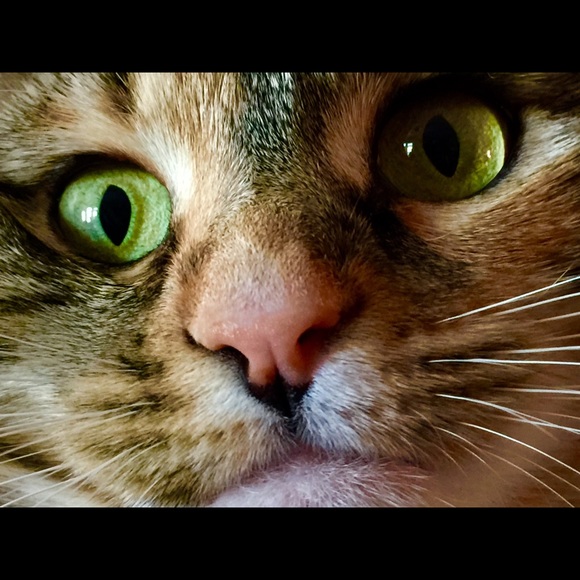 Meet your Posher, Laura - Picture 10 of 10